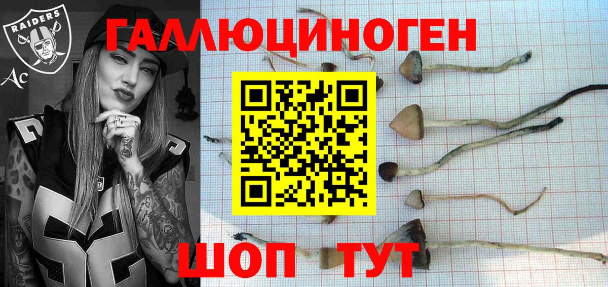 Псилоцибиновые грибы ЛСД  Вход с VPN  Саянск 