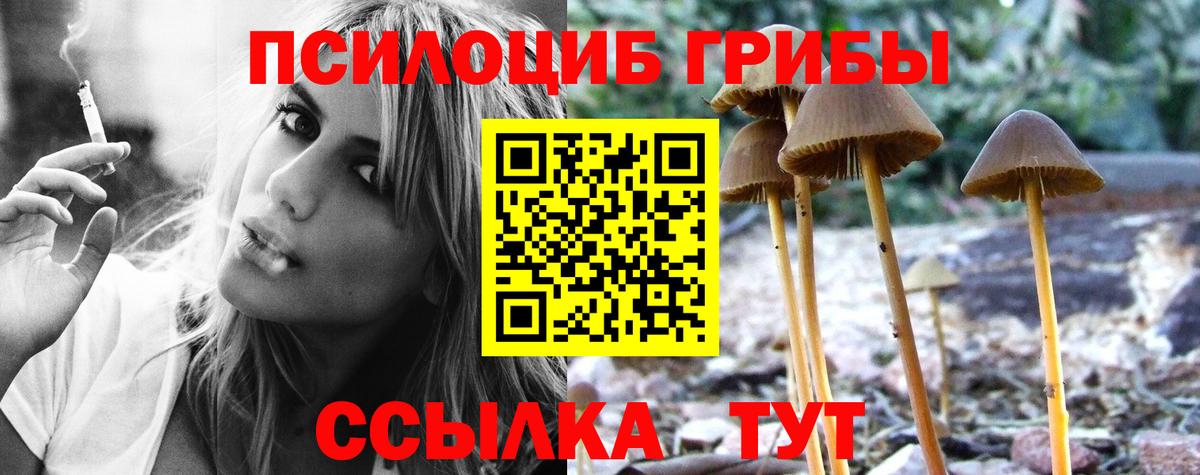 Галлюциногенные грибы мухоморы Саянск